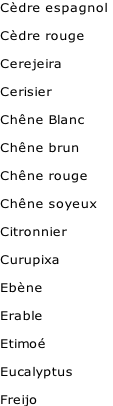 Cèdre espagnol

Cèdre rouge

Cerejeira

Cerisier

Chêne Blanc

Chêne brun

Chêne rouge

Chêne soyeux

Citronnier

Curupixa

Ebène

Erable

Etimoé

Eucalyptus

Freijo

